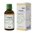anaerob-glyc-pl-kopie.png