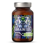 Braintus Respawn 90 kapsułek - Ostrovit