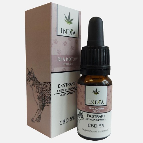 cbd_kot_szare.jpg