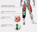 Bioniczna orteza kolana RAPTOR BIONIC     -     4SPORT.jpg