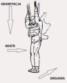 Militarna bioniczna orteza kolana RAPTOR BIONIC 4ARMY - REH4MAT.jpg