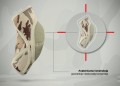 Anatomiczna orteza łokcia z ochraniaczem 4ARMY-SL-05  -  REH4MAT.jpg