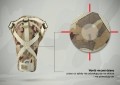 Anatomiczna orteza barku 4ARMY-B-01 -  REH4MAT.jpg