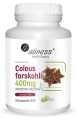 Coleus forskohlii 10% 400mg (pokrzywa indyjska) - 100 kapsułek Vege - ALINESS.jpg