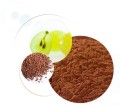 OPC exGrapeSeeds 400 mg - Ekstrakt z pestek winogron, 100 kapsułek Vege -  ALINESS.jpg