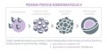 ProbioBALANCE - Przełom w suplementacji probiotycznej -  ALINESS.jpg