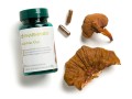 ReishiMax® GLp -  Optymalne wzmocnienie układu immunologicznego.jpg