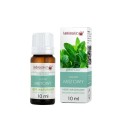 Olejek miętowy 10 ml - Olejek eteryczny LabioSkin - BIOOIL.jpg