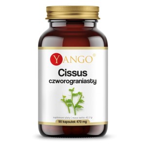 Cissus czworograniasty - Wsparcie w kontroli masy ciała - YANGO (NM)