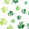 CLOVER - 4KIDS.jpg