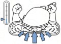 PA-VM-09 - 4KIDS.jpg