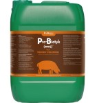 Pro-Biotyk (em15) dla trzody chlewnej 10L - Reguluje przemianę materii - ProBiotics