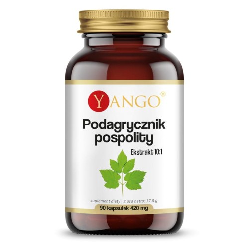 Podagrycznik pospolity ekstrakt 90 kapsułek - Na przyspieszenie trawienia - YANGO.jpg