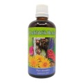 Profilaktik Herbs 100ml - Inwent Herbs.jpg