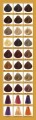 paleta-850.jpg