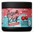 Aqua Kick L-Carnitine 300 g - L-karnityna + ekstrakt z zielonej herbaty - Ostrovit.jpg