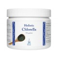 Chlorella 150 g - Chlorella vulgaris Yaeyama Premium Quality - HOLISTIC.jpg