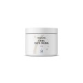 Chia 250 g - Ekologiczne nasiona chia (szałwia hiszpańska) Salvia hispanica - Omega-3, Omega-6, Omega-9 - HOLISTIC.jpg