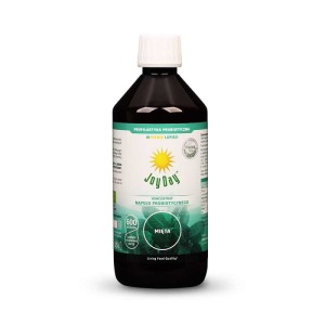 Koncentrat napoju probiotycznego 0,5 L o smaku mięty - JOY DAY
