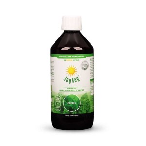 Koncentrat napoju probiotycznego 0,5 L o smaku chmielu - JOY DAY