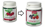Sweetacertabs 90 - 100% natural vitamin C