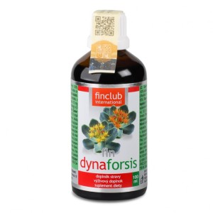 fin Dynaforsis