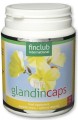 fin Glandincaps