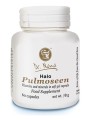 Halo Pulmoseen.jpg