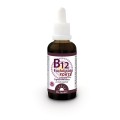 B12 Fosfolipidy FORTE Dr Jacobs 1.jpg