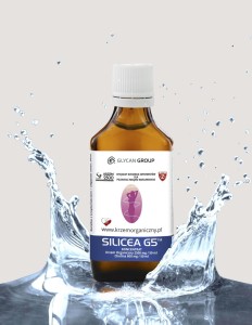 Silicea G5™ KONCENTRAT 50 ml - uzupełnienie niedoborów krzemu i choliny w diecie - GLYCAN GROUP