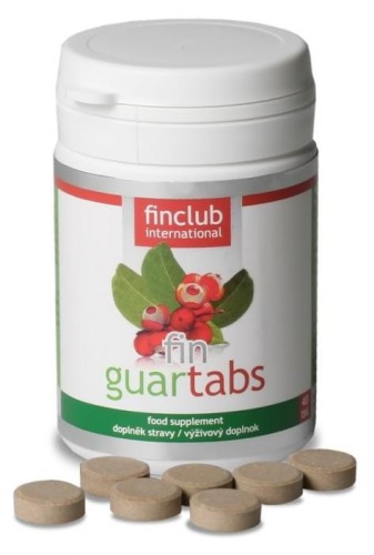 fin Guartabs.jpg