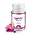 B12 Active!.jpg