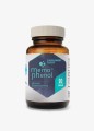 memophenol01.jpg